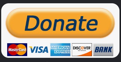 Donate Button1